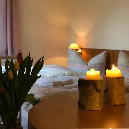Waldhotel&restaurant Hirschbachmühle Glashutte (Saxony)