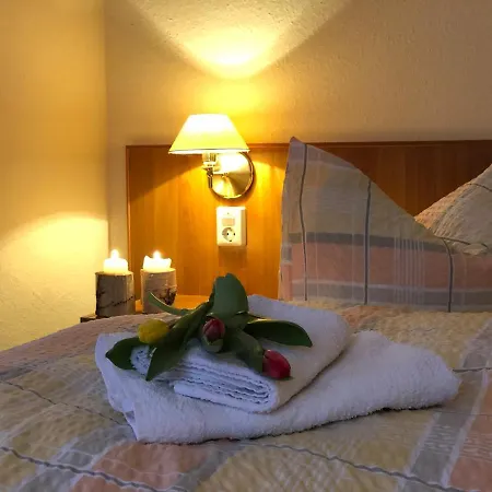 Hotel Waldhotel&restaurant Hirschbachmühle