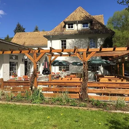 Waldhotel&restaurant Hirschbachmühle Glashutte (Saxony)